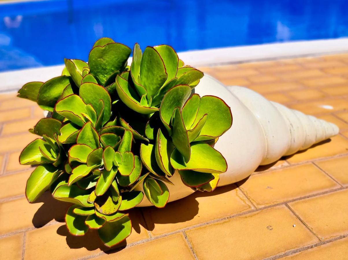 Flh Vilamoura Summer Flat With Pool מראה חיצוני תמונה